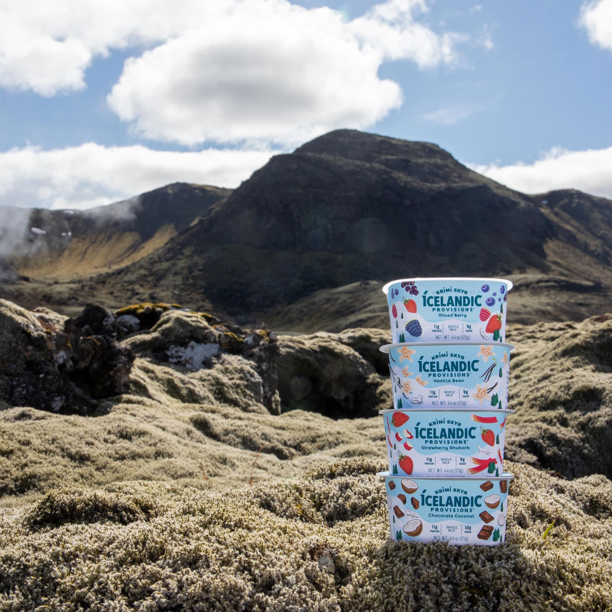 Icelandic Provisions Brand Identity, Packaging, and Website | Moxie Sozo